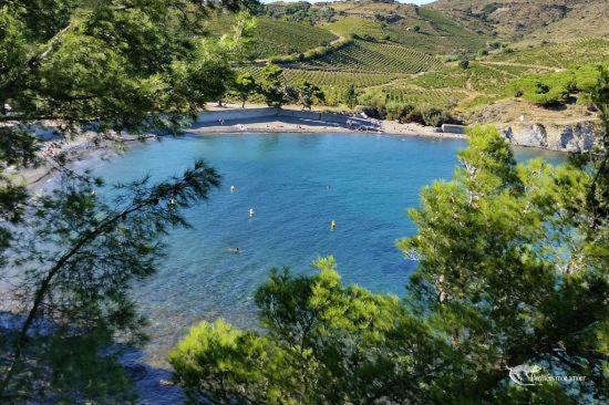 Appart Coeur De Village - Proche Des Criques Port Vendres Dış mekan fotoğraf