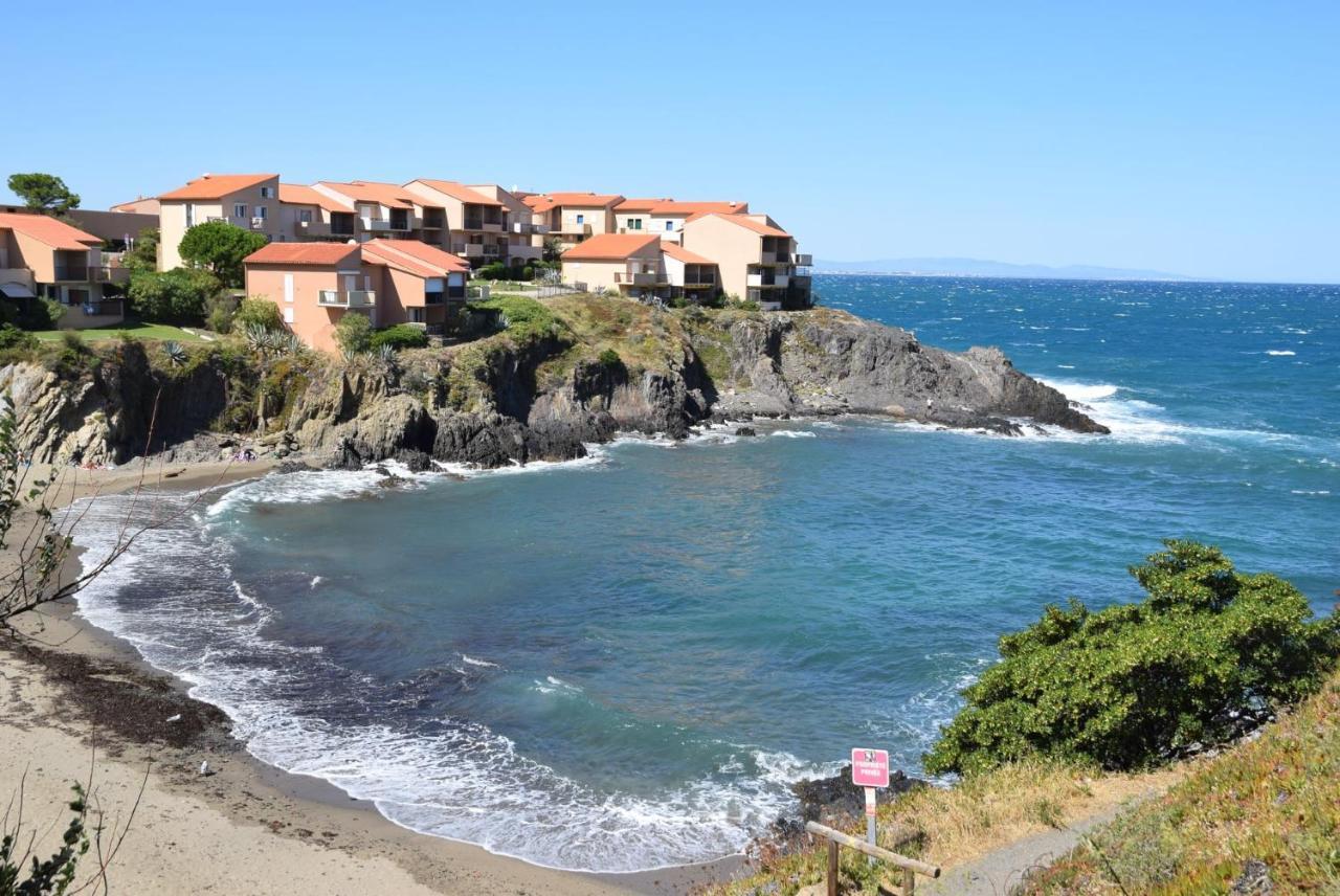 Appart Coeur De Village - Proche Des Criques Port Vendres Dış mekan fotoğraf