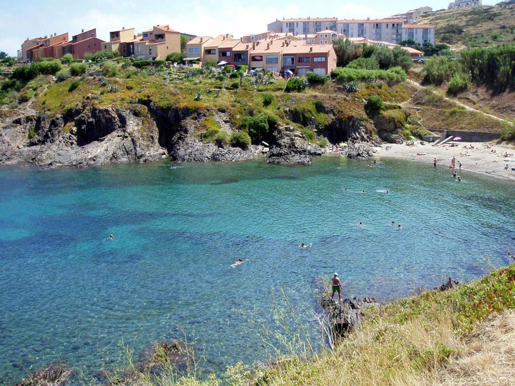Appart Coeur De Village - Proche Des Criques Port Vendres Dış mekan fotoğraf